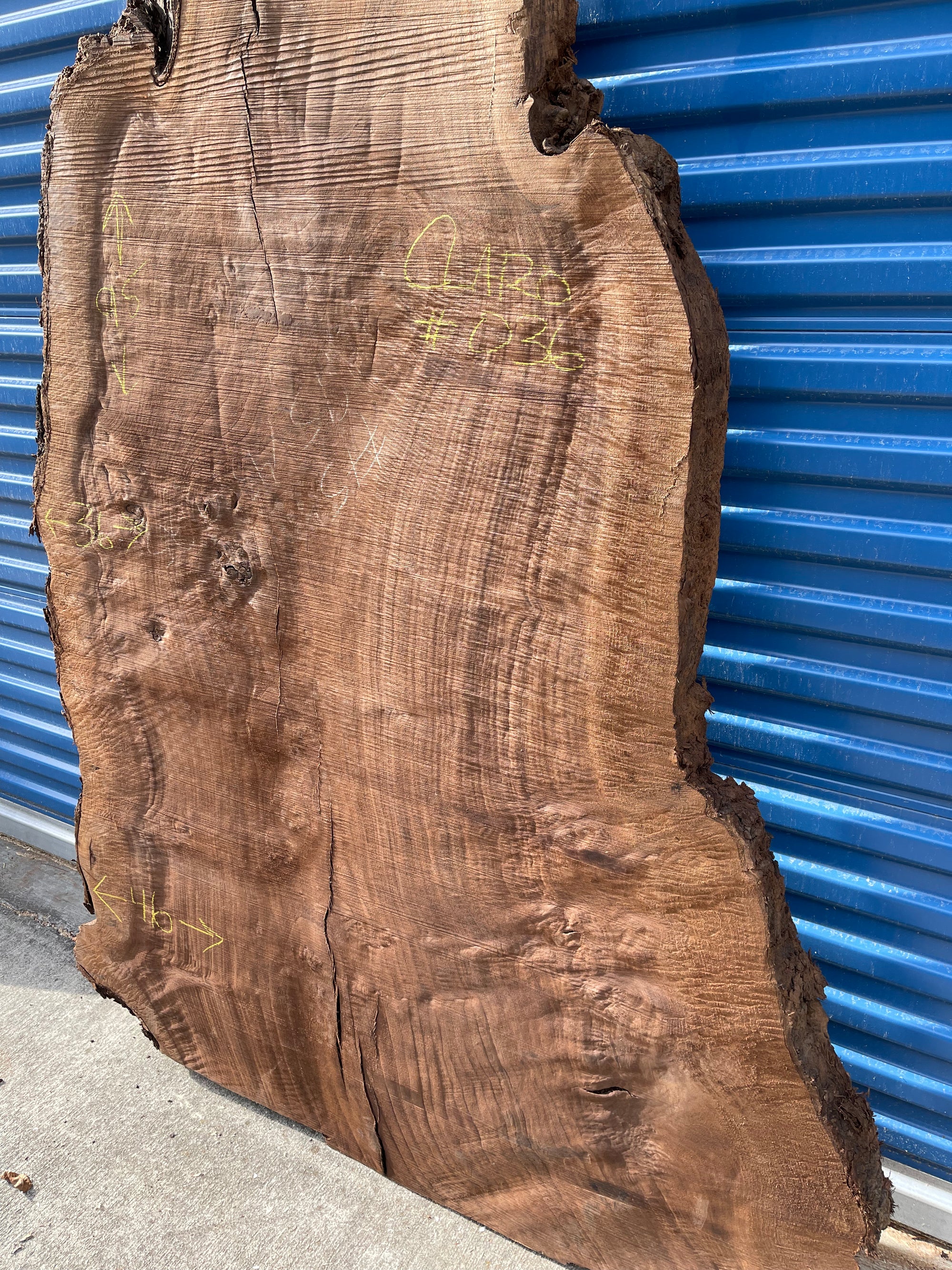 Claro Walnut Slab - Tag #036