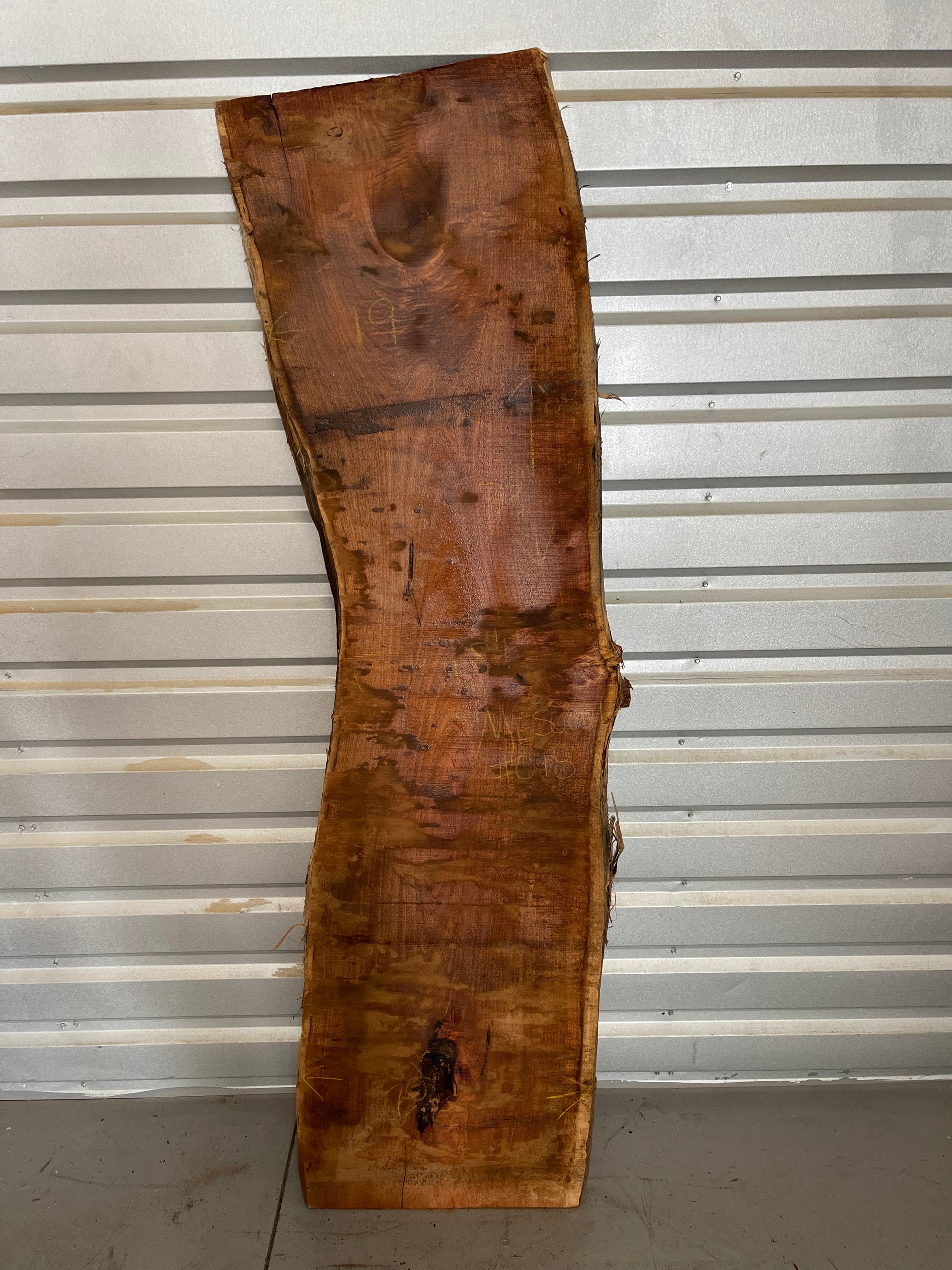 Mesquite Slab - Tag #019