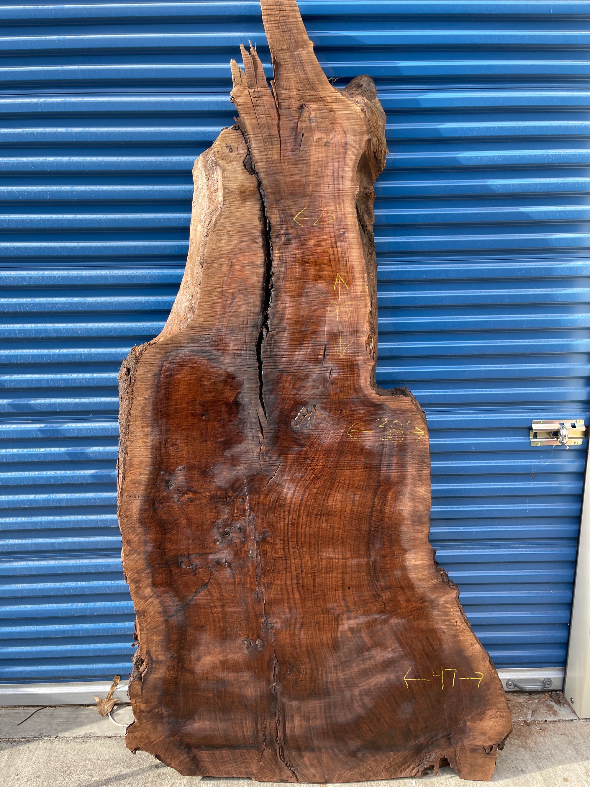 Claro Walnut Slab - Tag #035