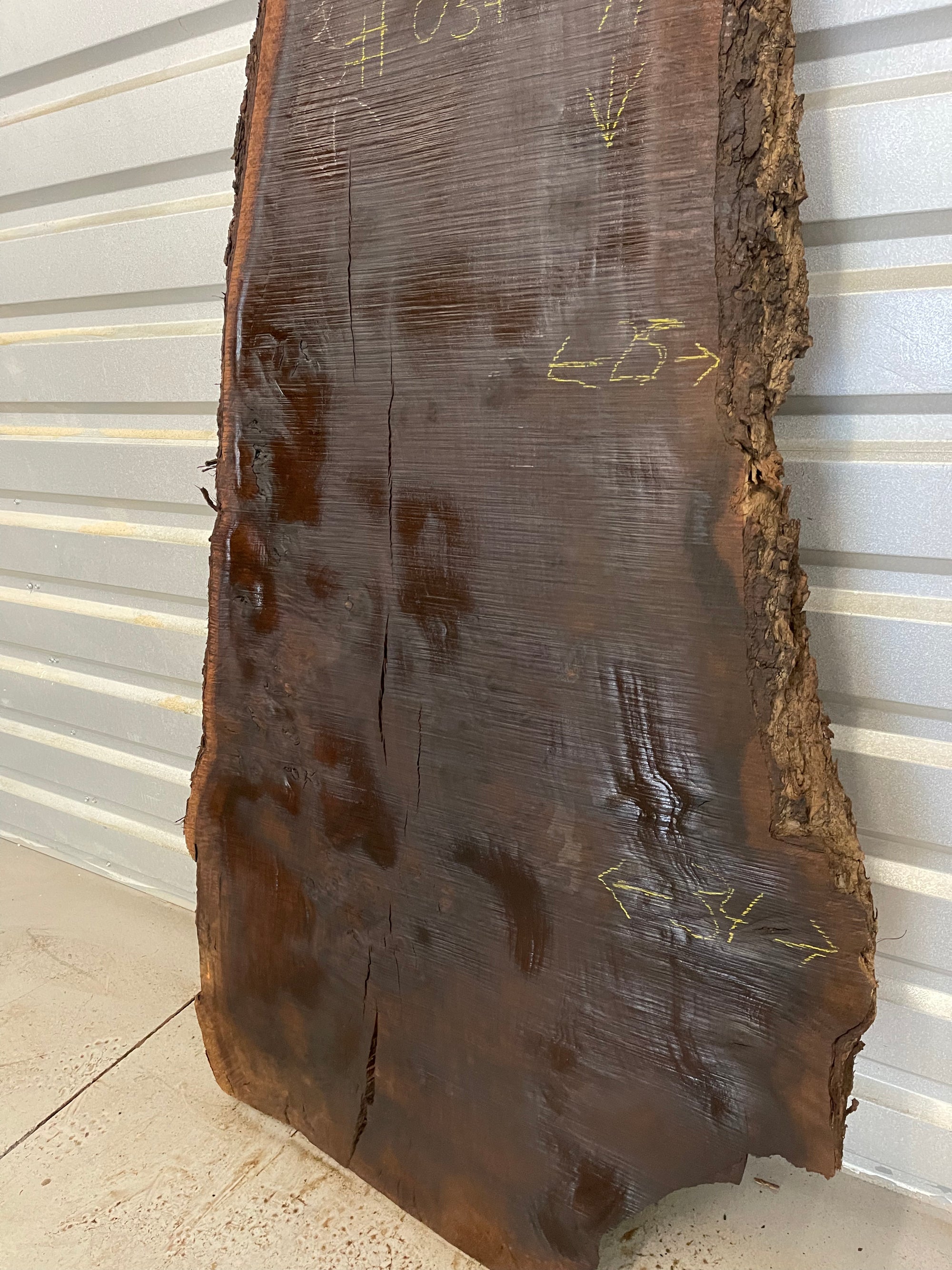 Claro Walnut Slab - Tag #034