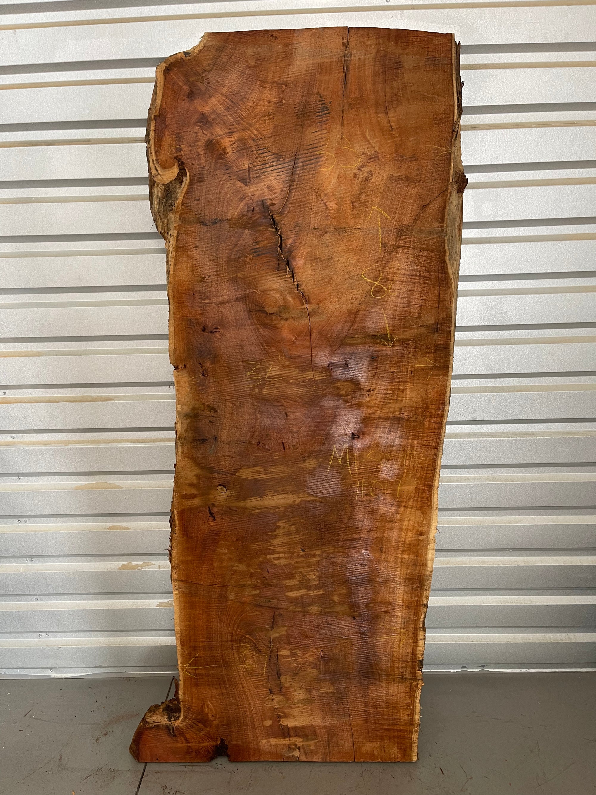 Mesquite Slab - Tag #017