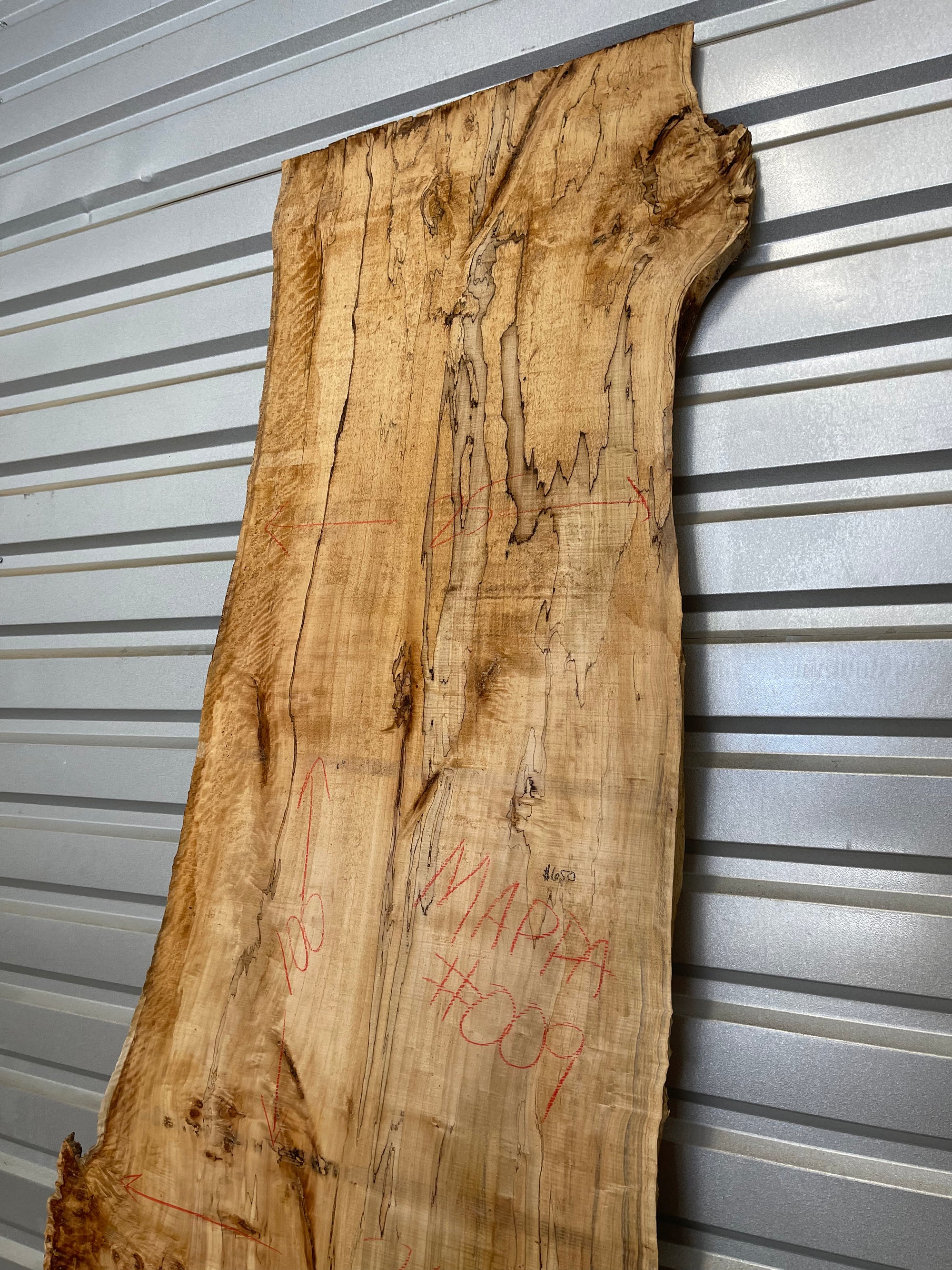 Mappa Burl Slab - Tag #009