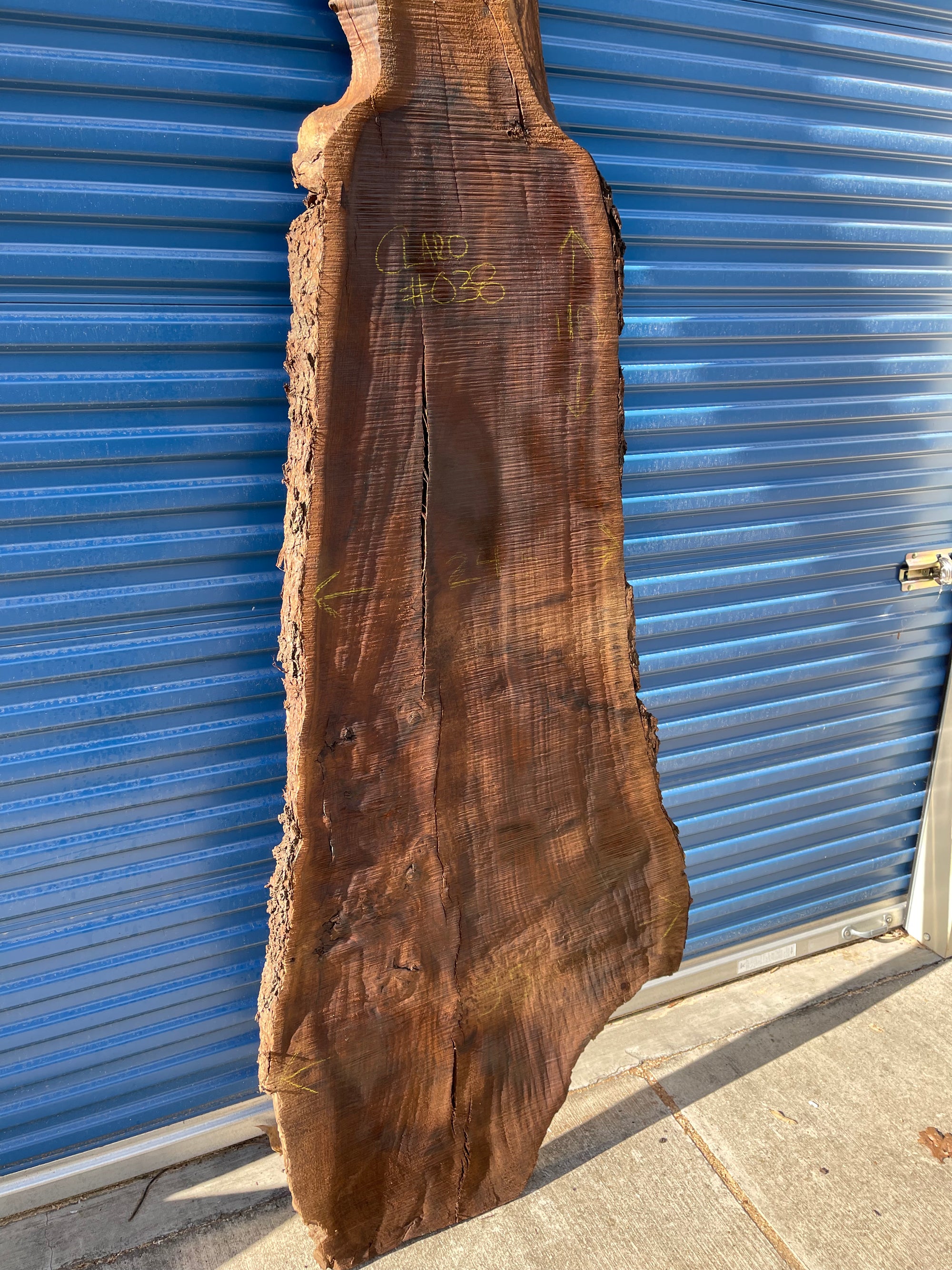 Claro Walnut Slab - Tag #038